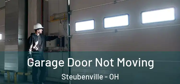  Garage Door Not Moving Steubenville - OH