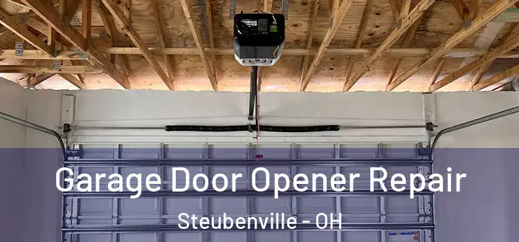  Garage Door Opener Repair Steubenville - OH
