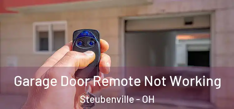  Garage Door Remote Not Working Steubenville - OH