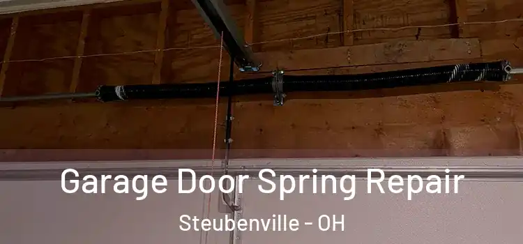  Garage Door Spring Repair Steubenville - OH