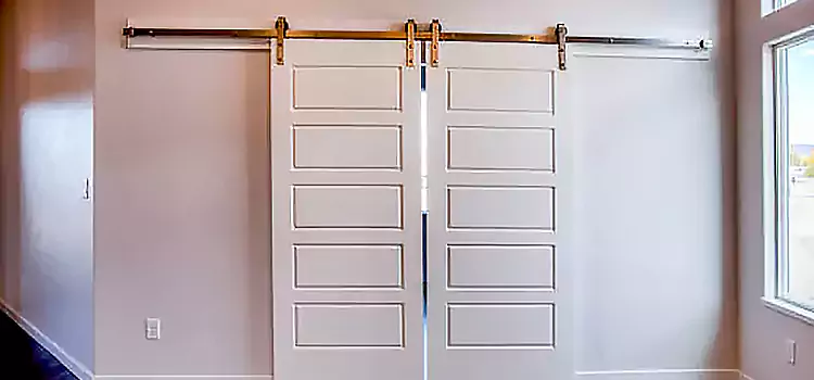 Glass Barn Door with Installation Hardware Kit Steubenville