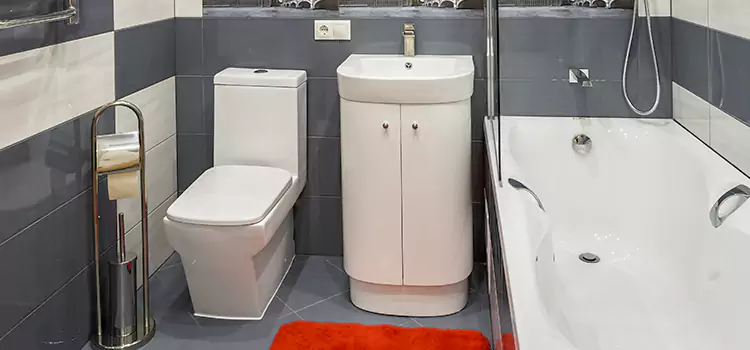 Hansgrohe Shaving Mirror Steubenville
